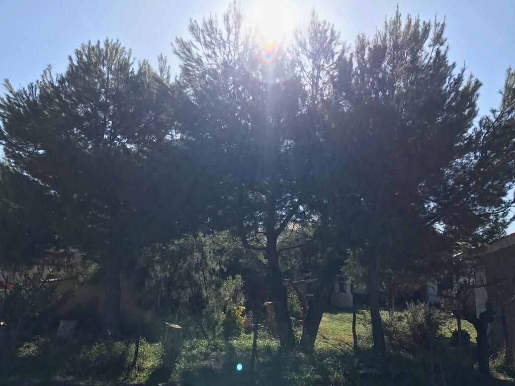 Casa Rural La Granja レトゥル エクステリア 写真